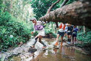 BIB: 
                            <button type="button" onclick="openModal(25373119)" class="btn btn-primary btn-sm float-right btn-popup" data-toggle="modal" data-target=".modal-high-quality">
                        <i class="fas fa-shopping-cart"></i> Add to Cart
                    </button>
                                            <button type="button" onclick="isThisMe(25373119, true)" class="btn btn-success btn-sm float-right btn-popup btn-isme hidden" data-toggle="tooltip" data-placement="bottom" title="นี่คือรูปของคุณใช่ไหม คลิกที่นี่เพื่อเอาเข้าอัลบั้ม">
                        <i class="fas fa-plus"></i> Add to album
                    </button>
                    <button type="button" onclick="isThisMe(25373119, false)" class="btn btn-warning btn-sm float-right btn-popup btn-isnotme hidden">
                        <i class="fas fa-ban"></i> Remove from album
                    </button>